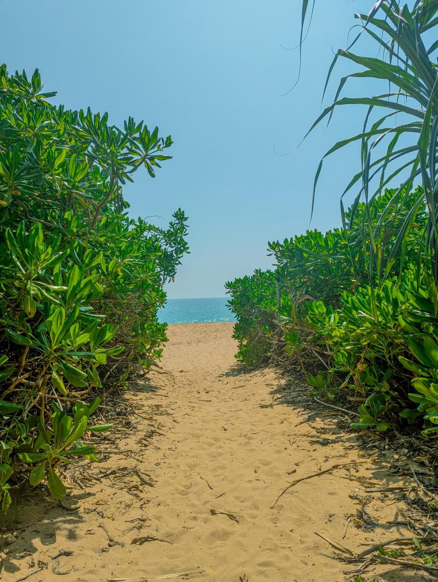 Southern Edge Cabanas Tangalle Exterior photo