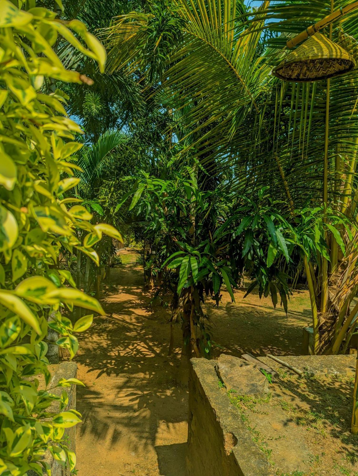 Southern Edge Cabanas Tangalle Exterior photo